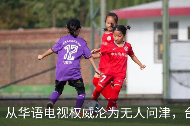 从华语电视权威沦为无人问津,台湾金钟奖,只剩仔仔和深V撑场面