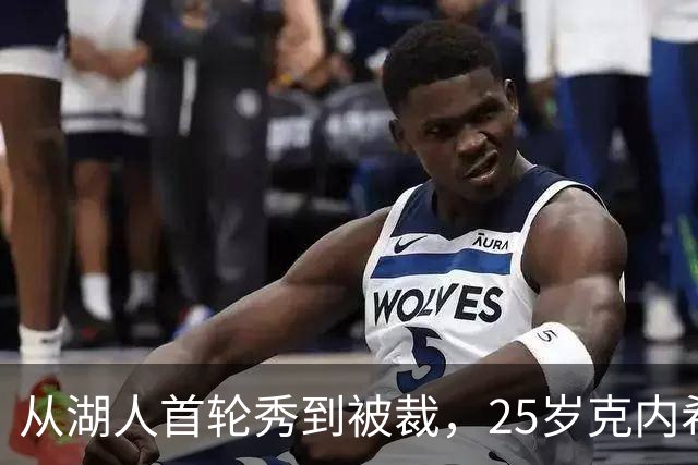 从湖人首轮秀到被裁,25岁克内希特转投尼克斯