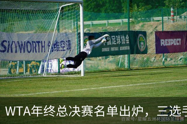 WTA年终总决赛名单出炉,三选手追平前辈足迹,两人首次入围